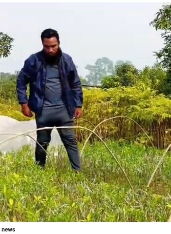 মালটা চাষে সফল রাজশাহীর যুবক